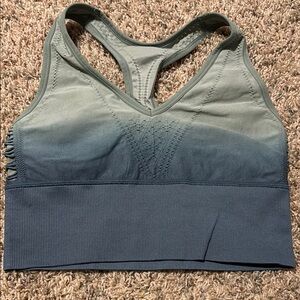 Seamless Ombre Sports Bra